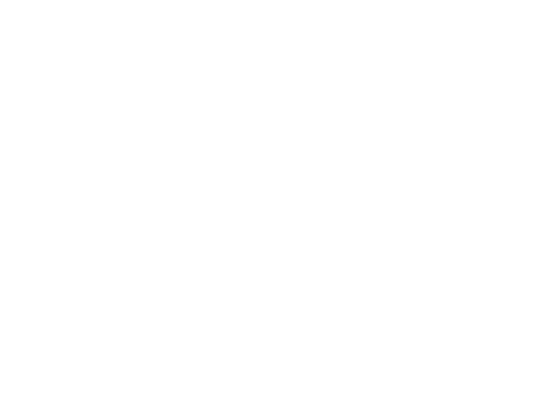 Logo LinkoSport